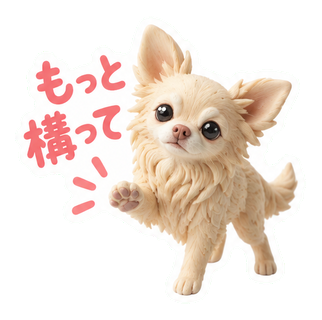 もっと構って