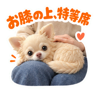 お膝の上、特等席