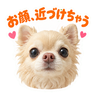 お顔、近づけちゃう