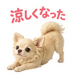 涼しくなった