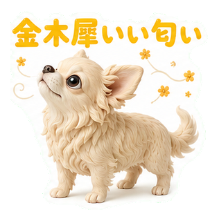 金木犀いい匂い