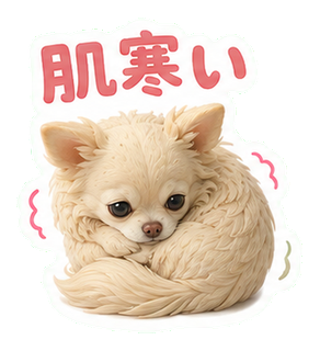 肌寒い