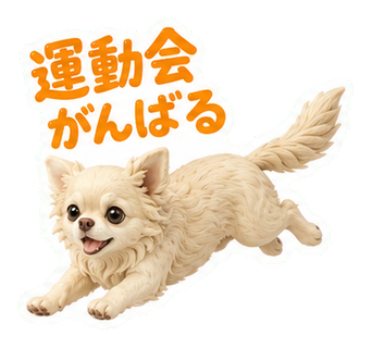 運動会がんばる
