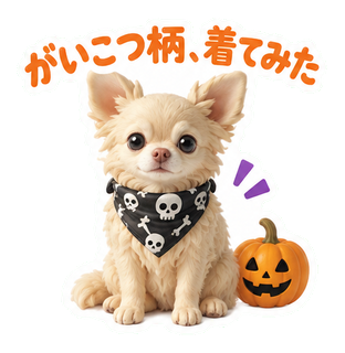 がいこつ柄、着てみた
