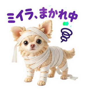 ミイラ、まかれ中