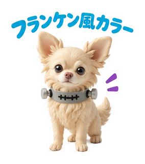 フランケン風カラー