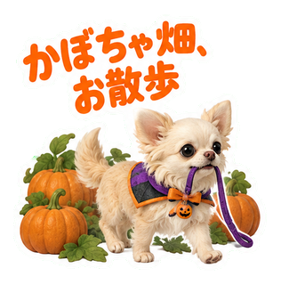 かぼちゃ畑、お散歩