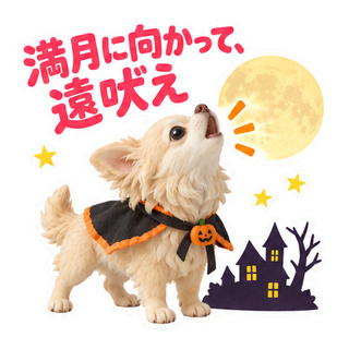 満月に向かって、遠吠え