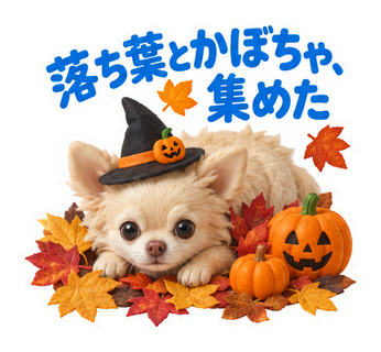 落ち葉とかぼちゃ、集めた