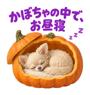 かぼちゃの中で、お昼寝