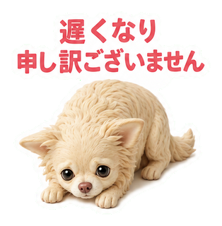 遅くなり申し訳ございません