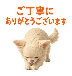 ご丁寧にありがとうございます